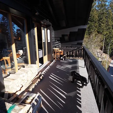 Boisserie Apartman Crans-Montana